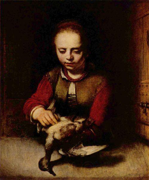 FABRITIUS, Carel Young Girl Plucking a Duck Norge oil painting art